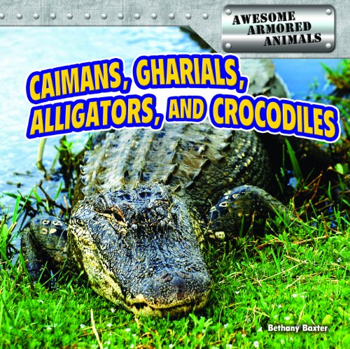 Caimans, Gharials, Alligators, and Crocodiles by Bethany Baxter