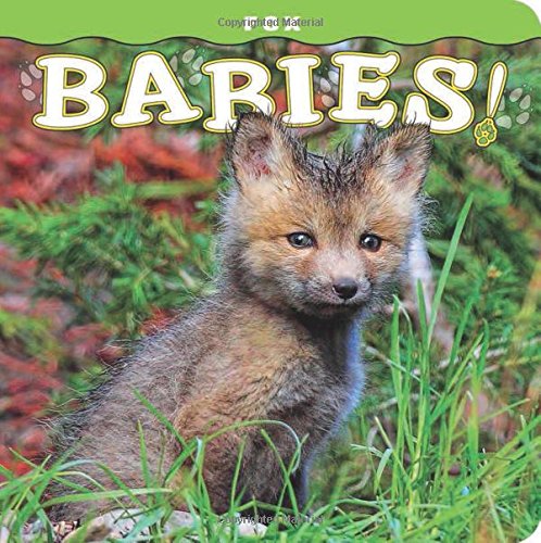 FOX BABIES! By Steph Lehmann & Steve Hinch - Photographer **BRAND NEW**