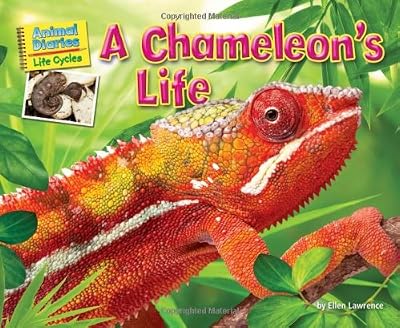 A chameleon's life