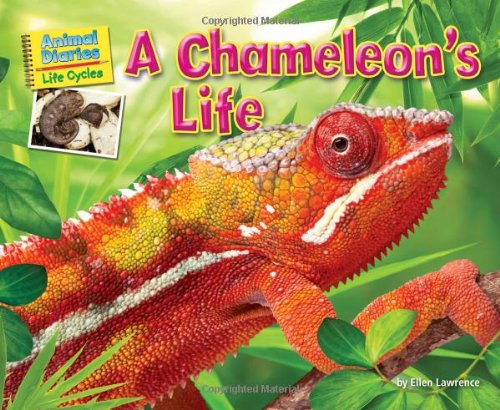 A chameleon's life by Ellen Lawrence