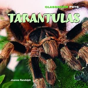 Tarantulas (Classroom Pets)