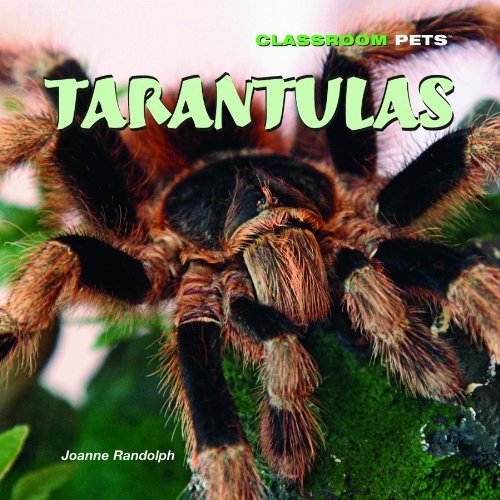 Tarantulas (Classroom Pets) by Joanne Randolph