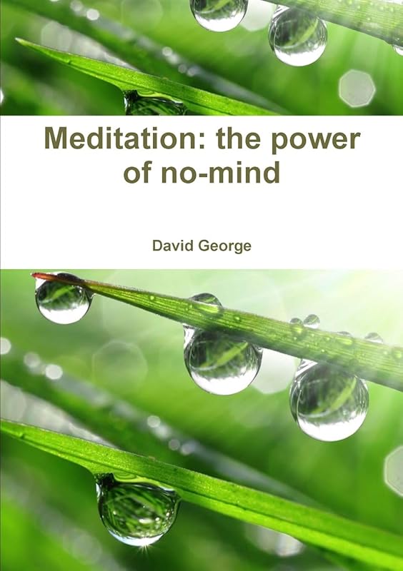 Meditation: the power of no-mind by Mark Dalliston