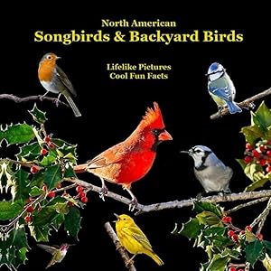 North American Songbirds & Backyard Birds Kids Book: With Lifelike Pictures and Cool Fun Facts