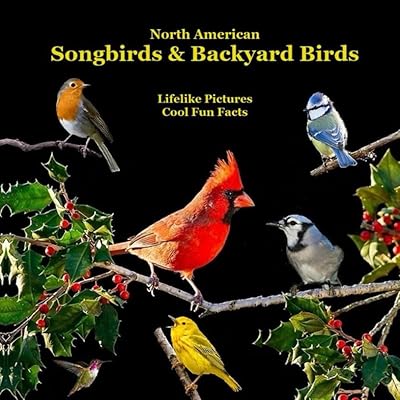 North American Songbirds & Backyard Birds Kids Book: With Lifelike Pictures and Cool Fun Facts