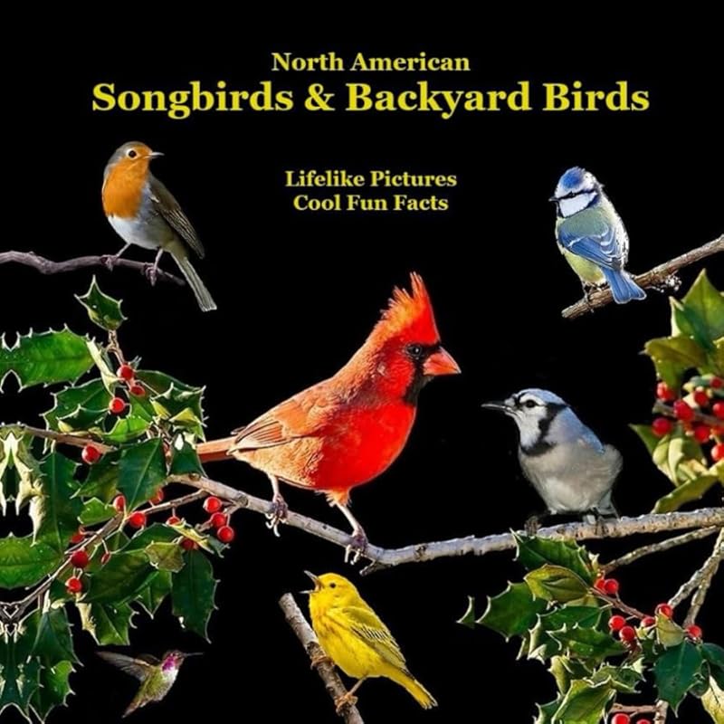 North American Songbirds & Backyard Birds Kids Book: With Lifelike Pictures and Cool Fun Facts by Billy Grinslott