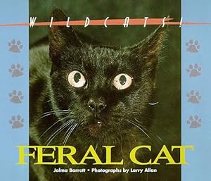 feral cat