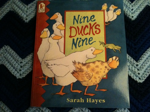 Nine Ducks Nine by Sarah Hayes
