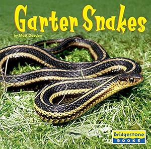 Garter Snakes (World of Reptiles)