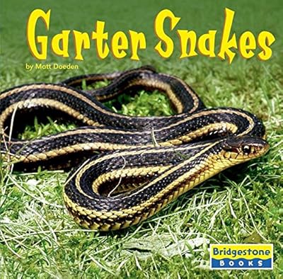 Garter Snakes (World of Reptiles)
