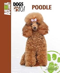 Poodle (Animal Planet Dogs 101) by Carol Frischmann