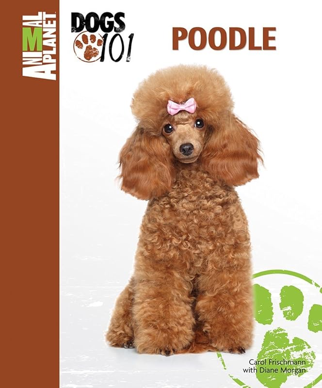 Poodle (Animal Planet Dogs 101) by Carol Frischmann