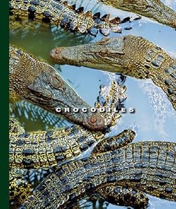 Crocodiles (The World of Reptiles)