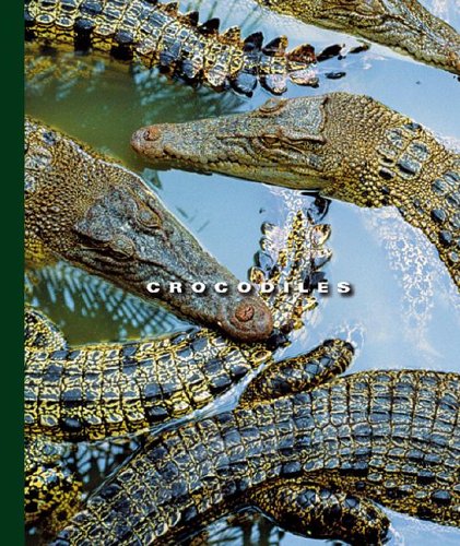 Crocodiles (The World of Reptiles) by Sophie Lockwood