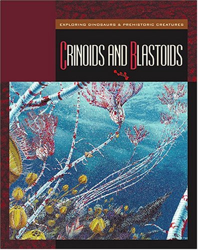 Crinoids And Blastoids (Exploring Dinosaurs & Prehistoric Creatures) by Susan Heinrichs Gray