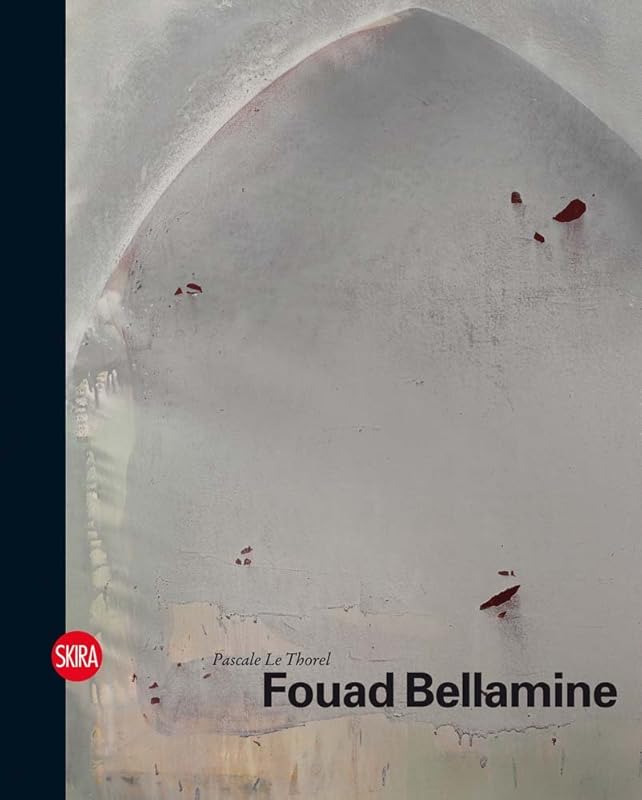 Fouad Bellamine by Pascale Le Thorel