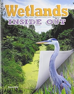 Wetlands Inside Out