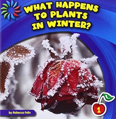 What Happens to Plants in Winter?