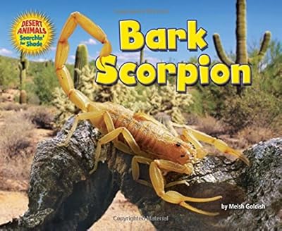 Bark Scorpion