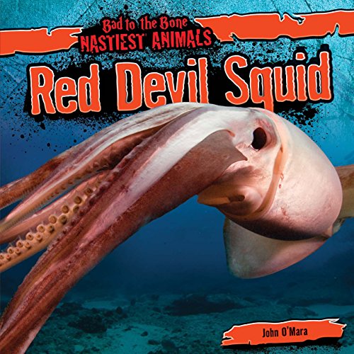 Red Devil Squid by John O'Mara