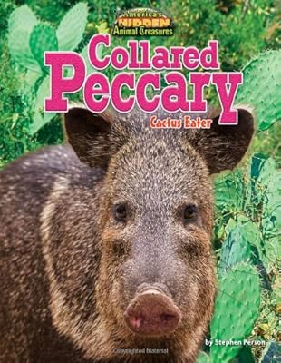 Collared peccary