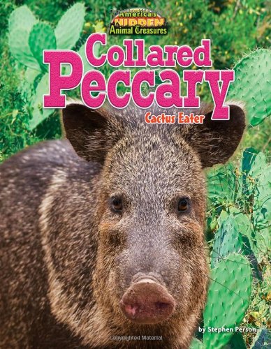 Collared peccary by Stephen Person