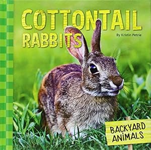 Cottontail Rabbits
