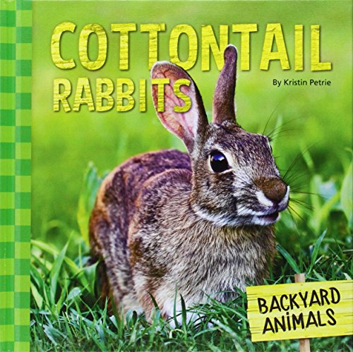Cottontail Rabbits by Kristin Petrie