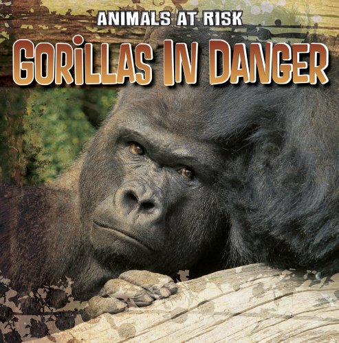 Gorillas in Danger by Michael Portman