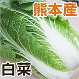 あいあい 熊本県産 白菜 1本 【野菜セット同梱で】【九州 野菜】