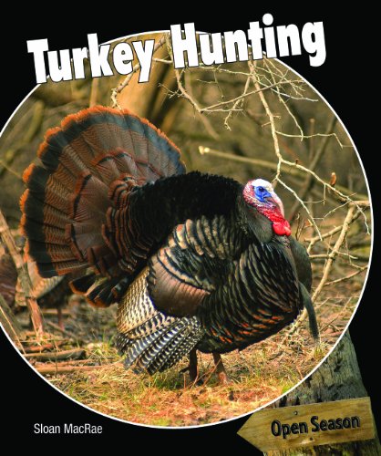 Turkey Hunting by Sloan MacRae