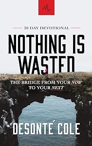 Nothing Is Wasted: The Bridge From Your Now to Your Next by Desonte´ Cole