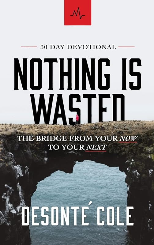 Nothing Is Wasted: The Bridge From Your Now to Your Next by Desonte´ Cole