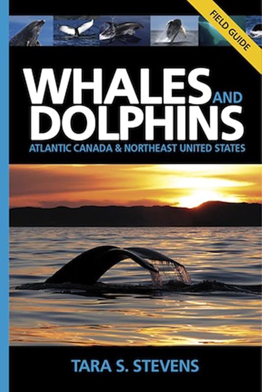 Whales and Dolphins of Atlantic Canada & Northeast United States: A Field Guide by Tara Stevens