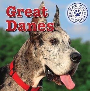 Great Danes