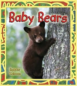 Baby Bears (It's Fun to Learn About Baby Animals)