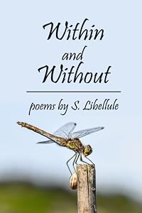 Within and Without by S. Libellule
