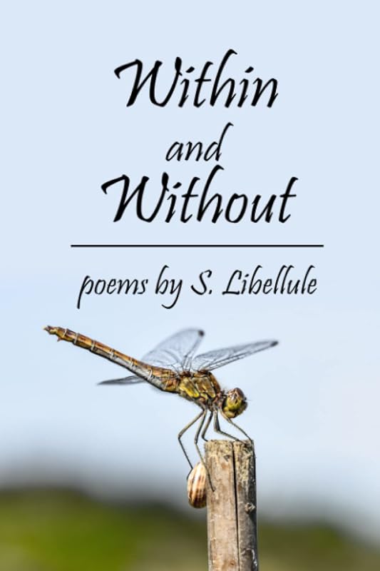 Within and Without by S. Libellule