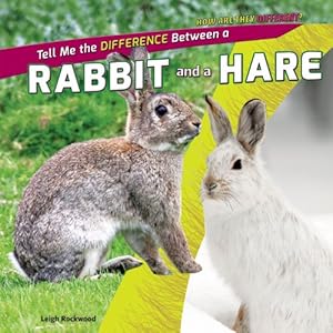 Tell me the difference between a rabbit and a hare
