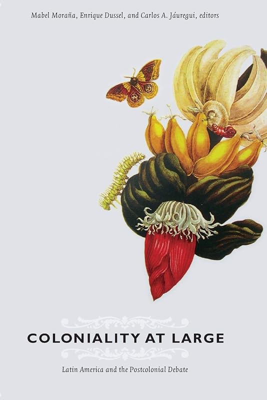 Coloniality at Large: Latin America and the Postcolonial Debate (Latin America Otherwise) by Mabel Moraña