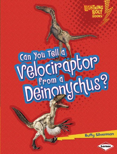 Can You Tell a Velociraptor from a Deinonychus? by Buffy Silverman