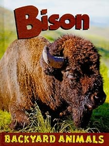 Bison