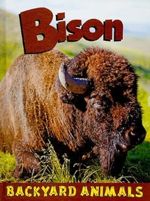 Bison