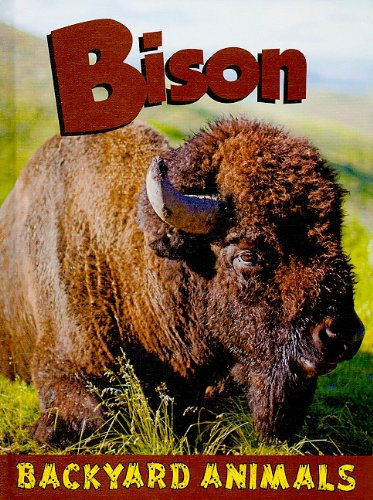 Bison by Tatiana Tomljanovic