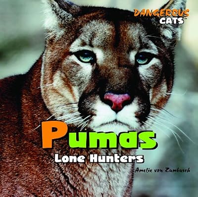 Pumas: Lone Hunters (Dangerous Cats)