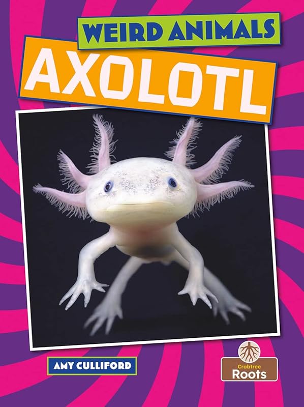 Axolotl (Weird Animals) by Amy Culliford