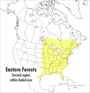 A Peterson Field Guide To Eastern Forests: North America (Peterson Field Guides) by John Kricher
