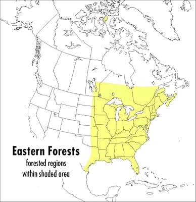 A Peterson Field Guide To Eastern Forests: North America (Peterson Field Guides)