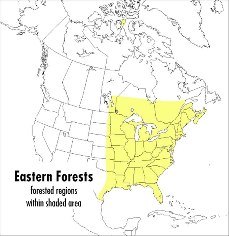 A Peterson Field Guide To Eastern Forests: North America (Peterson Field Guides) by John Kricher
