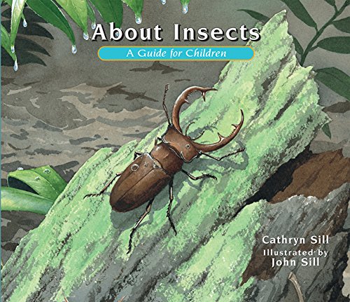 About Insects: A Guide for Children by Cathryn Sill 
			
			
		
		
		
       	 
       		
       			,